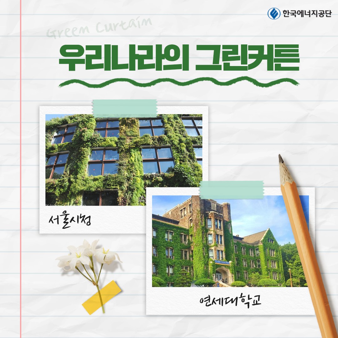 우리나라의 그린커튼 서울시청 연세대학교